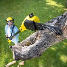 Best Tree and Shrub Care  in New Pek, IN